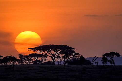 Serengeti Tanzania